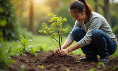 Personne plantant un arbuste japonais dans un jardin lumineux